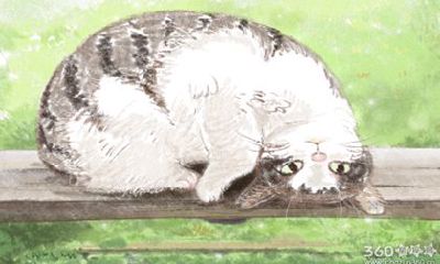 十二生肖与人交往最忌讳什么