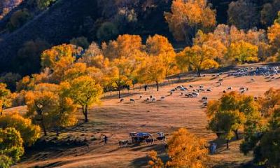 立秋出生的人好吗？出生在立秋的寓意是什么