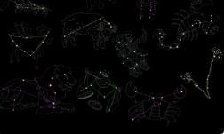 6月，双鱼座化身锦鲤跃龙门！