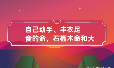 自己动手、丰衣足食的命，石榴木命和大林木命配吗
