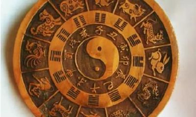 “猿猴见猪泪沟通交流”这句话的含意是什么？