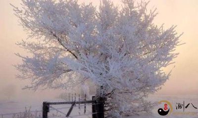 梦见雪天吃粽子