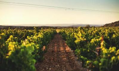 2018年七月出生的宝宝五行缺什么？农历七月宝宝怎么起名？