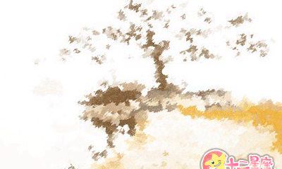 易鑫十二生肖运势排行榜【2017年1月13日】