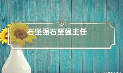 石坚强 石坚强主任