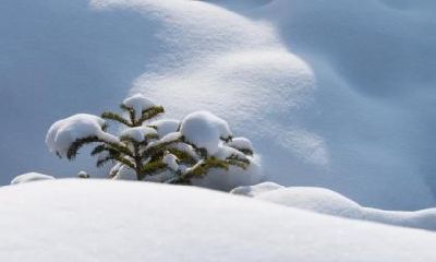 大雪天气凌汛危害都有哪些？大雪飞机能起飞吗？