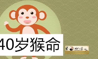 40岁猴啥命