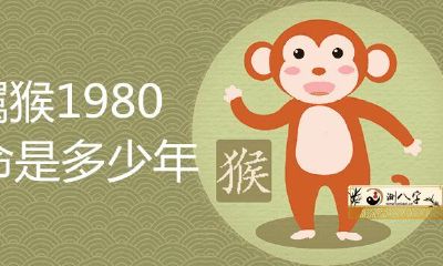 属猴1980寿命多少钱年
