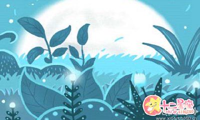 易鑫十二生肖运势排行榜【2017年1月11日】