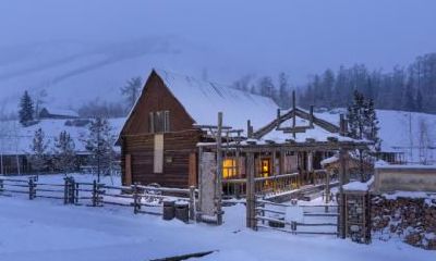 生肖狗在冬至出生的命运如何？生肖狗的运势解析