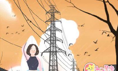 易鑫十二生肖运势排行榜【2017年1月10日】