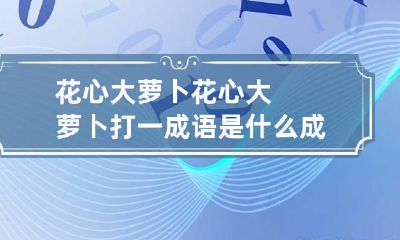 花心大萝卜 花心大萝卜打一成语是什么成语