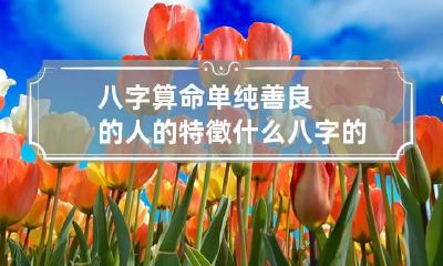 八字算命单纯善良的人的特徵 什么八字的人单纯善良