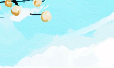 2017年12生肖12月运程解析