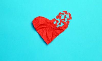 男鼠和女鼠的婚姻状态好不好？