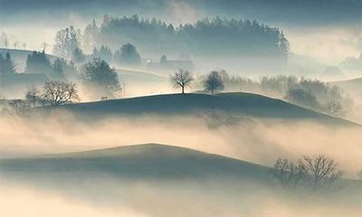 壬子日柱逢2022壬寅年流年大运，壬子日柱在2022壬寅虎年有姻缘吗？