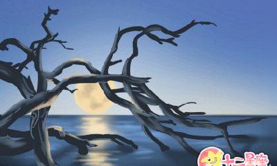 方久铭每日生肖运势【2017年1月16日】