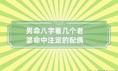 男命八字看几个老婆 命中注定的配偶