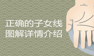恰当的子女线详解详细介绍