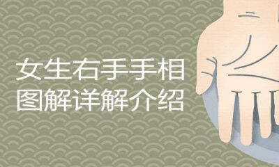 掌纹图解女右手详细说明详细介绍