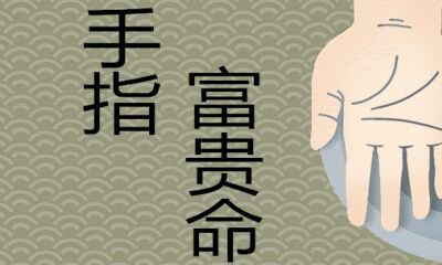 手指富贵命详解全集