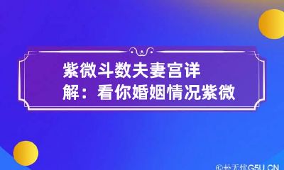 紫微斗数夫妻宫详解：看你婚姻情况 紫微斗数论夫妻宫
