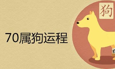 1970属狗运程怎样