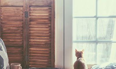 8月事业运最好的生肖(2021)