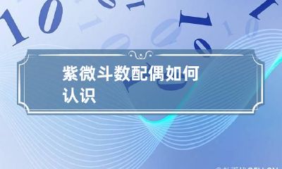 紫微斗数配偶如何认识