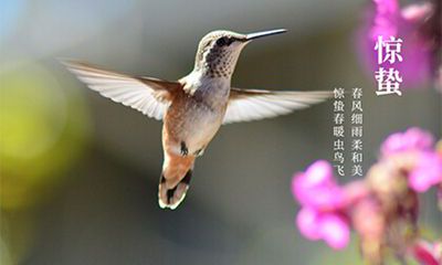 惊蛰节气是第几个节气？2022年惊蛰节气是什么时候？