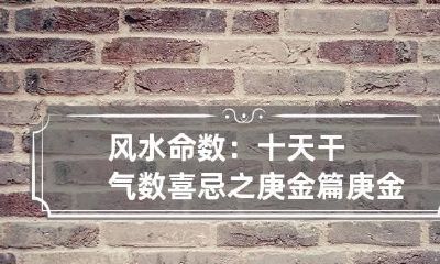 风水命数：十天干气数喜忌之庚金篇 庚金日干八字100例