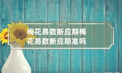 梅花易数断应期 梅花易数断应期准吗