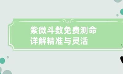 紫微斗数免费测命详解 精准与灵活