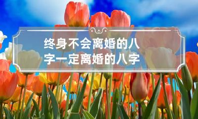 终身不会离婚的八字 一定离婚的八字
