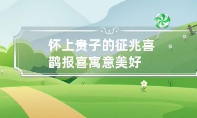 怀上贵子的征兆喜鹊报喜 寓意美好