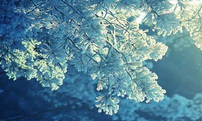 立春出生是什么命2023年