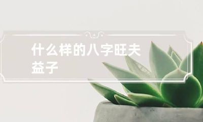 什么样的八字旺夫益子