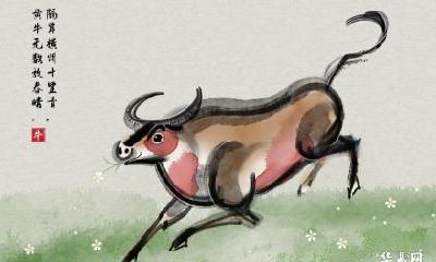 1985年属牛的几岁是最难熬的年龄？2023癸卯年运势如何