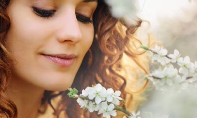 易祈文化：2019年12生肖情感运势预测