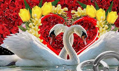 2019年，这几个生肖女最适合谈恋爱