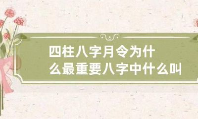 四柱八字月令为什么最重要 八字中什么叫月令