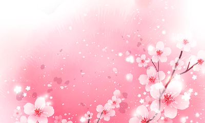 杨清华：2019年12生肖爱情桃花运