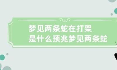 梦见两条蛇在打架是什么预兆 梦见两条蛇在打架是什么预兆啊
