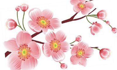 身边烂桃花很多，婚姻容易亮红灯的生肖