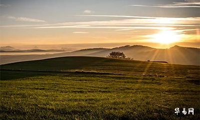 历史名望名人当中姓柏的有几个？柏姓明星有谁？