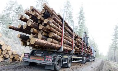 2018年农历七月十三出生女宝宝起名？宝宝缺什么五行？