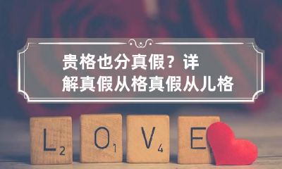 贵格也分真假？详解真假从格 真假从儿格