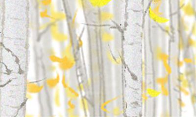 郑博士2017年5月属猴男女桃花运势