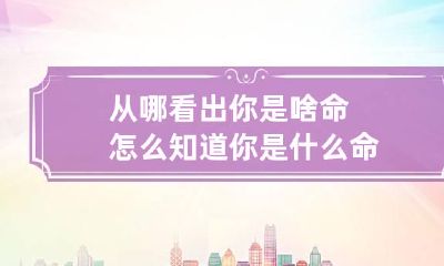 从哪看出你是啥命 怎么知道你是什么命