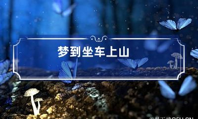 梦到坐车上山